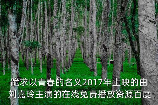 以青春的名義，以青春的名義追逐