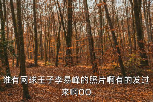 誰有網球王子李易峰的照片啊有的發過來啊OO