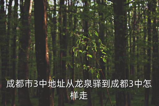 成都市3中地址從龍泉驛到成都3中怎樣走