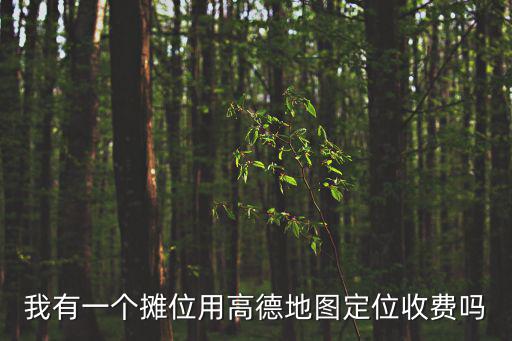 我有一個攤位用高德地圖定位收費(fèi)嗎