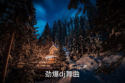 勁爆dj舞曲