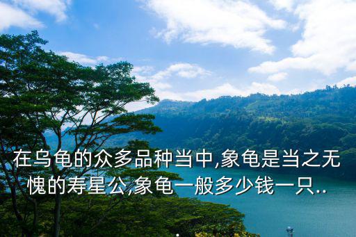 在烏龜的眾多品種當中,象龜是當之無愧的壽星公,象龜一般多少錢一只...
