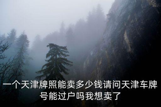 天津市車牌靚號出售，一個天津牌照能賣多少錢請問天津車牌號能過戶嗎我想賣了