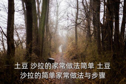 土豆沙拉的做法,秘制番茄沙拉醬一碗不要浪費