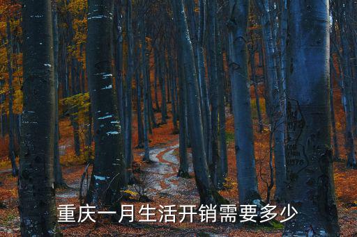 重慶市勞動需求，重慶一月生活開銷需要多少