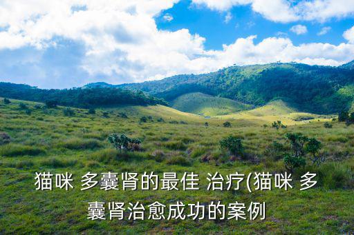 貓咪 多囊腎的最佳 治療(貓咪 多囊腎治愈成功的案例