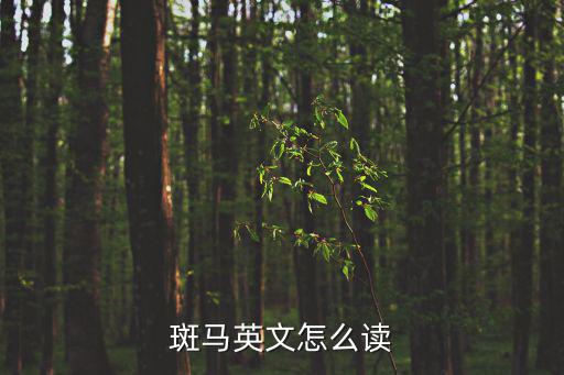 斑馬英文怎么讀