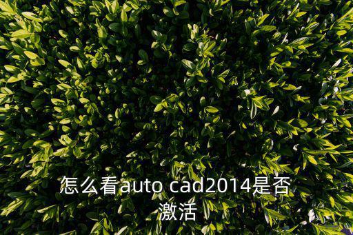 cad激活,如何在cad應用程序中檢查是否有活動?