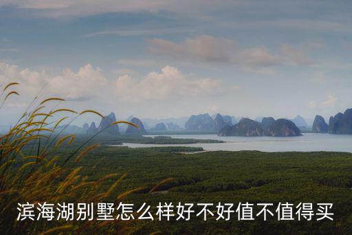 天津市濱海湖別墅最大院子，濱海湖別墅有人住嗎