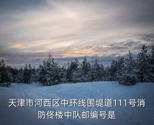 天津市河西區中環線圍堤道111號消防佟樓中隊郵編號是
