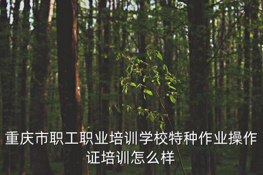 重慶市工人先鋒號，重慶市職工職業培訓學校特種作業操作證培訓怎么樣