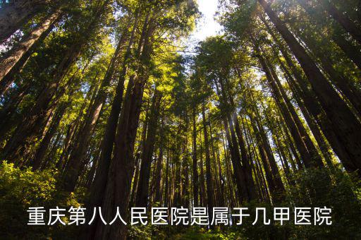 重慶市第八醫院官網，重慶第八人民醫院是屬于幾甲醫院