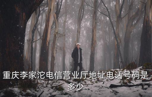 重慶市李家沱街道電話，重慶市電話區號是多少