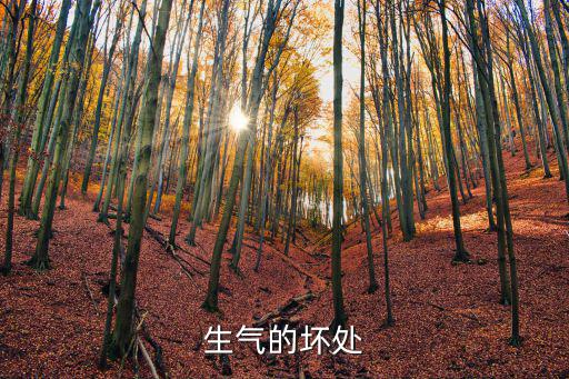 生氣的，表示生氣的四字詞語有哪些