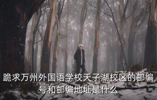 跪求萬州外國語學校天子湖校區的郵編號和郵編地址是什么