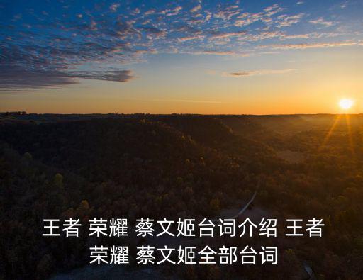  王者 榮耀 蔡文姬臺詞介紹 王者 榮耀 蔡文姬全部臺詞