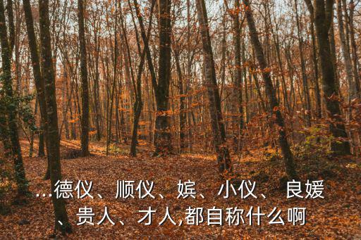 良媛,妃子的稱號來自皇宮和宮廷