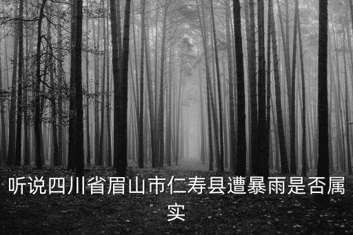 聽說四川省眉山市仁壽縣遭暴雨是否屬實