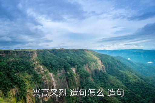 興高采烈造句大全,興高采烈造句:我和你一樣希望被尊重