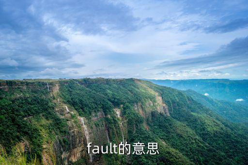 fault的意思