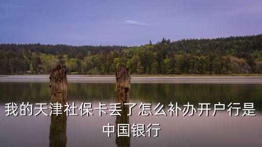 我的天津社保卡丟了怎么補辦開戶行是中國銀行