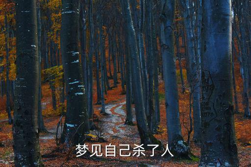 夢見自己殺了人