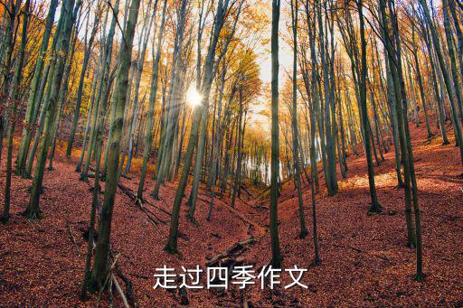 走過四季作文