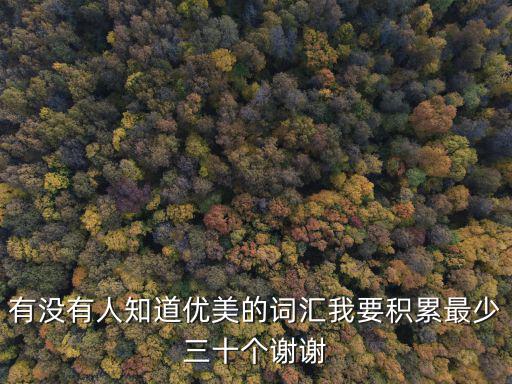 有沒有人知道優(yōu)美的詞匯我要積累最少三十個(gè)謝謝