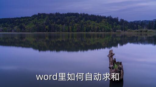 怎么自動求和，電腦上自動求和怎么弄