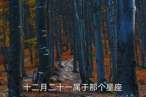 12月21日是什么星座，12月21日是什么星座