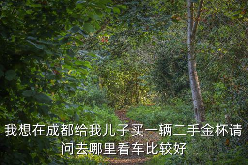 成都市二手車金懷格瑞，成都09年吉利金剛一代標準型跑咯六萬公里無事故大概賣得到好多錢