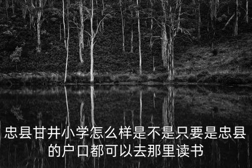 甘井小學(xué)重慶市，重慶沙坪壩區(qū)好點(diǎn)的小學(xué)是哪個(gè)呀