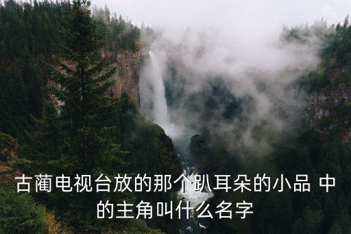 古藺電視臺(tái)放的那個(gè)趴耳朵的小品 中的主角叫什么名字