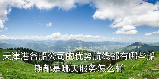 天津港各船公司的優(yōu)勢(shì)航線都有哪些船期都是哪天服務(wù)怎么樣