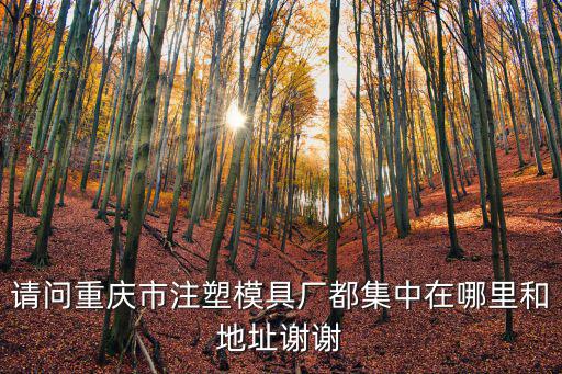 請問重慶市注塑模具廠都集中在哪里和地址謝謝