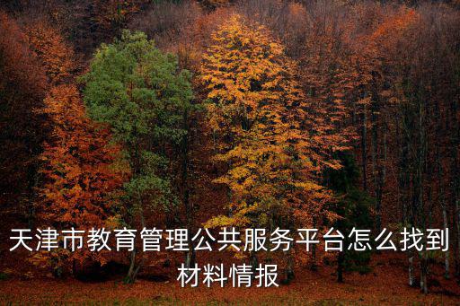 天津市教育管理公共服務平臺怎么找到材料情報