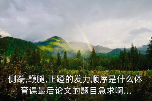 側踹腿,實戰演練:先抽左腿再踢右腿