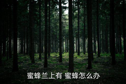  蜜蜂蘭上有 蜜蜂怎么辦