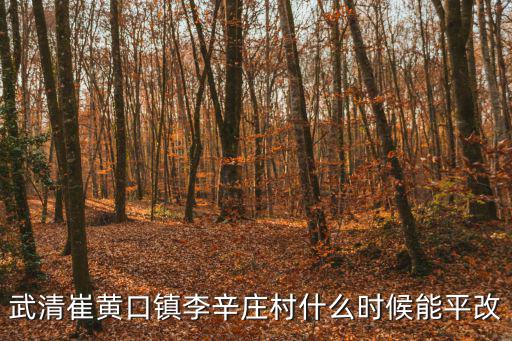 武清崔黃口鎮(zhèn)李辛莊村什么時(shí)候能平改