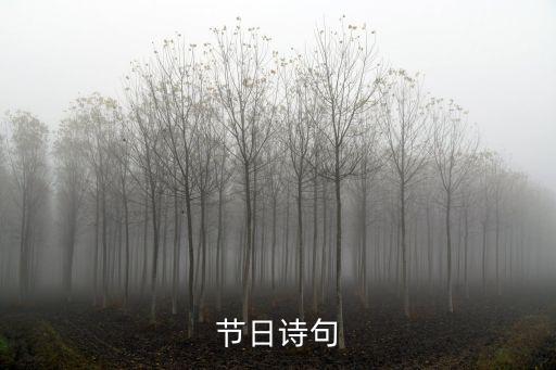 描寫節日的詩句，詩句描寫的節日