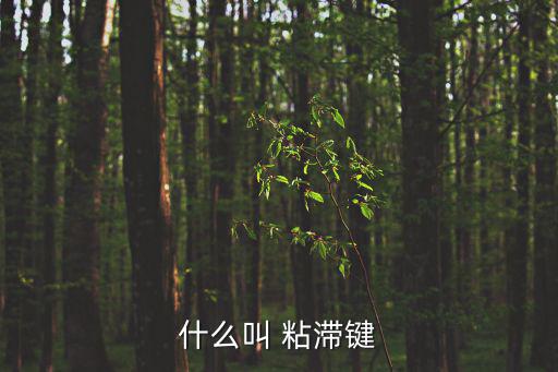 什么叫 粘滯鍵