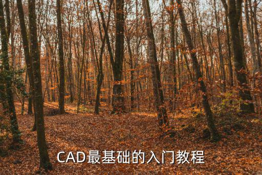 CAD最基礎的入門教程