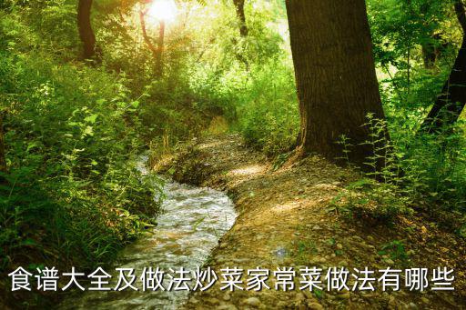 食譜大全及做法炒菜家常菜做法有哪些