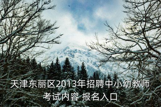 天津東麗區2013年招聘中小幼教師考試內容 報名入口
