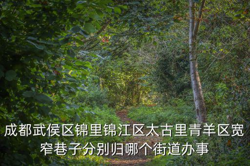 成都武侯區錦里錦江區太古里青羊區寬窄巷子分別歸哪個街道辦事