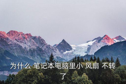 筆記本風扇不轉,筆記本風扇不轉怎么辦?