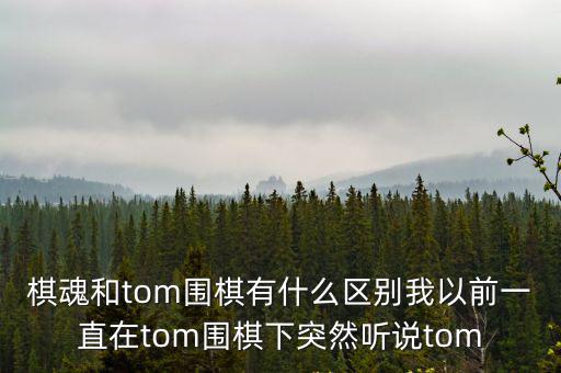 棋魂和tom圍棋有什么區別我以前一直在tom圍棋下突然聽說tom