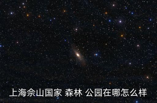 森林公園在哪,鐘南山國家森林公園始建于1992年