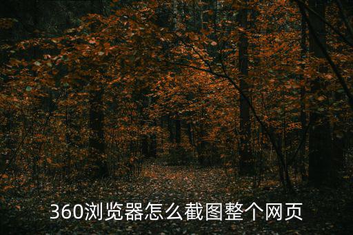 360瀏覽器怎么截圖整個(gè)網(wǎng)頁