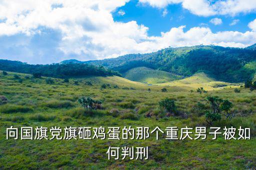 向國旗黨旗砸雞蛋的那個重慶男子被如何判刑